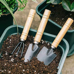 3Pcs/Set Mini Garden Tool Set