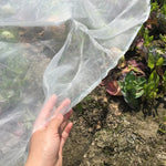 Garden Plant Insect Protection Net