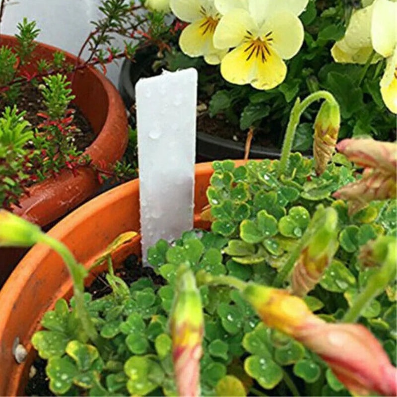 Betta Grower B100PCS White Waterproof Plant Labels